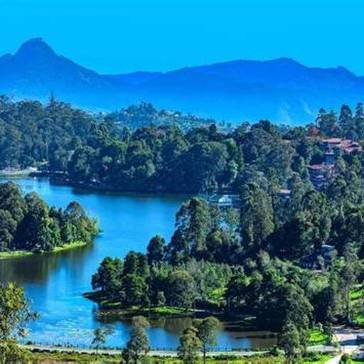 Ooty