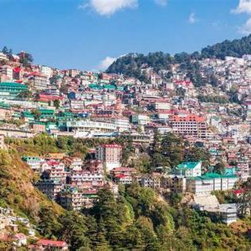 Shimla